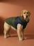 Lightweight jacket with dog zip and harness caramel 