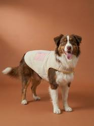 Bedding & Decor-Decoration-Pet Accessories-Pet Clothing-Fleece dog coat