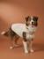 Fleece dog coat beige+khaki 