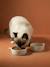 Set of 2 Ceramic Cat Bowls, FAMILY ecru+printed white 