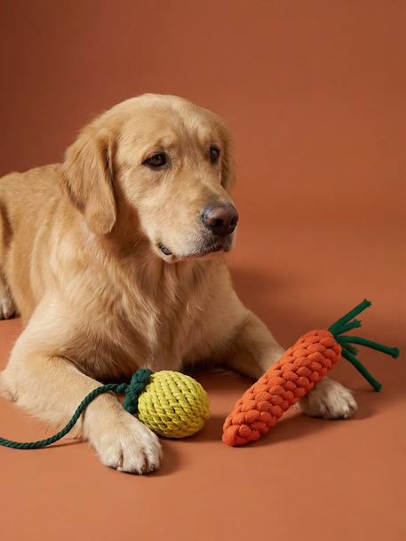 Pack of 2 dog rope toys with fruit design yellow 