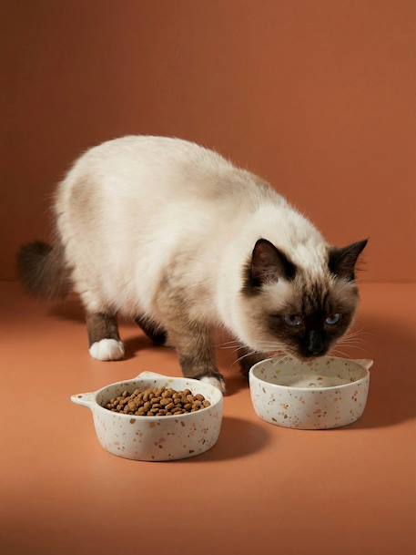 Set of 2 Ceramic Cat Bowls, FAMILY ecru+printed white 