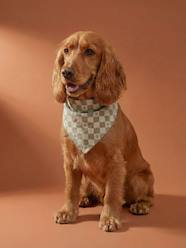 Bedding & Decor-Decoration-Pet Accessories-Pet Clothing-Cotton dog bandana