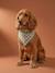 Cotton dog bandana chequered beige+printed brown+printed white 