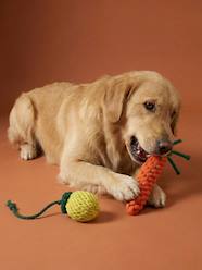 Bedding & Decor-Decoration-Pet Accessories-Toys-Pack of 2 dog rope toys with fruit design
