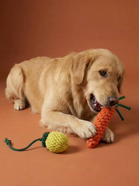 Pack of 2 dog rope toys with fruit design yellow 
