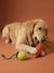 Pack of 2 dog rope toys with fruit design yellow 