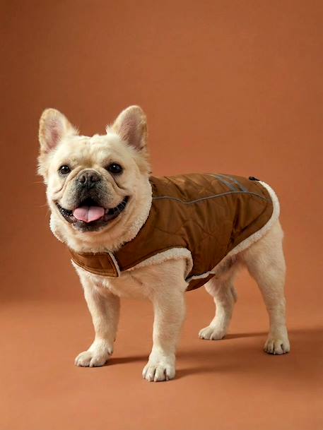 Dog rain coat caramel 