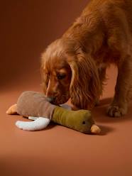 Bedding & Decor-Decoration-Pet Accessories-Toys-Multi-textured duck dog toy