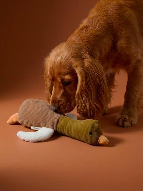 Multi-textured duck dog toy hazel 