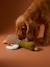 Multi-textured duck dog toy hazel 