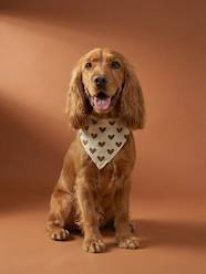 Bedding & Decor-Decoration-Pet Accessories-Pet Clothing-Cotton dog bandana