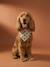 Cotton dog bandana chequered beige+printed brown+printed white 
