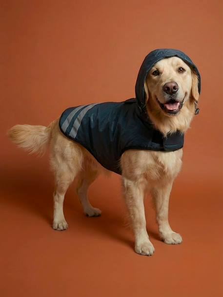 Waterproof dog coat slate blue 