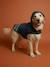 Waterproof dog coat slate blue 
