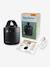 Roxy smart portable swing black 