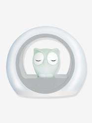 Bedding & Decor-Decoration-Lighting-Lou la chouette night light