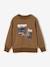 Crewneck sweatshirt for boys hazel 