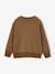 Crewneck sweatshirt for boys hazel 