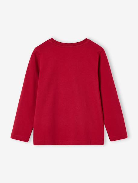Long-sleeved T-shirt for boys anthracite+cappuccino+red+sage green+white 