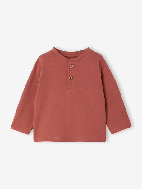 Pack of 3 Basics Tops in Organic Cotton for Babies pecan nut+terracotta 