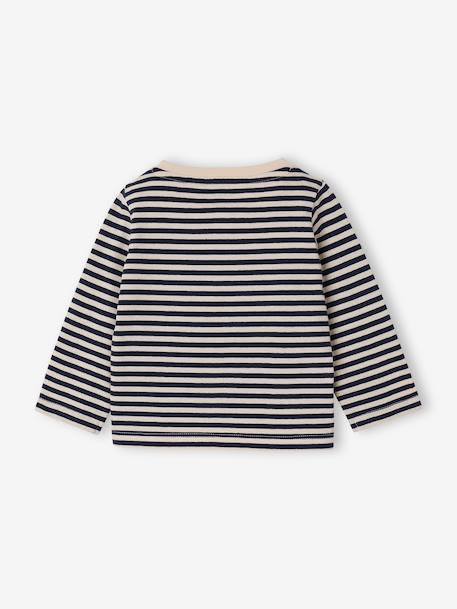 Pack of 3 Basics Tops in Organic Cotton for Babies pecan nut+terracotta 