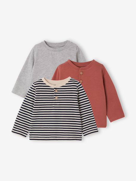 Pack of 3 Basics Tops in Organic Cotton for Babies pecan nut+terracotta 