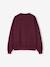 Oversized Leopard Print Slogan Sweatshirt for Girls, JONEN anthracite+bordeaux red 