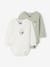 Pack of 2 Miffy long-sleeved newborn bodysuits aqua green 