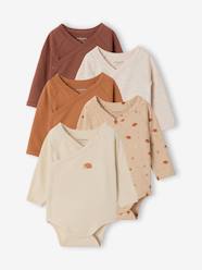 Pack of 5 long-sleeved bodysuits for newborn