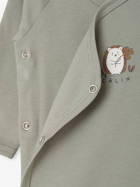Pack of 2 long-sleeved newborn bodysuits cappuccino+pale pink+sage green 