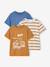 Pack of 3 short-sleeved t-shirts caramel+navy blue+pecan nut+sage green 