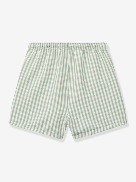 Duke Stripe swim shorts green 