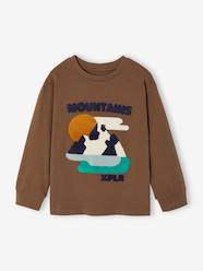 Boys-Long-sleeved T-shirt for boys