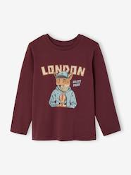 Boys-Long-sleeved T-shirt for boys