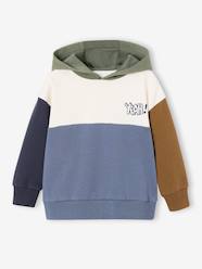 Boys- Colourblock Hoodie for Boys, Basics