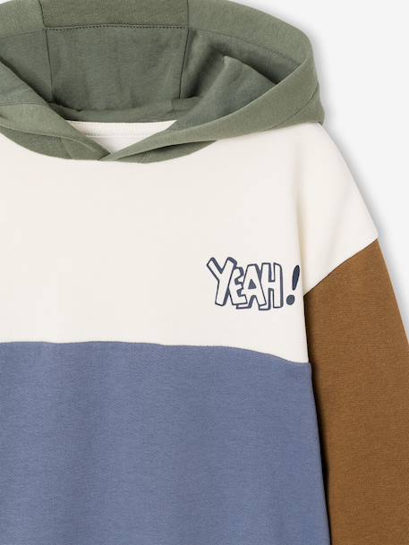 Colourblock Hoodie for Boys, Basics hazel+multicoloured 
