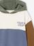 Colourblock Hoodie for Boys, Basics hazel+multicoloured 