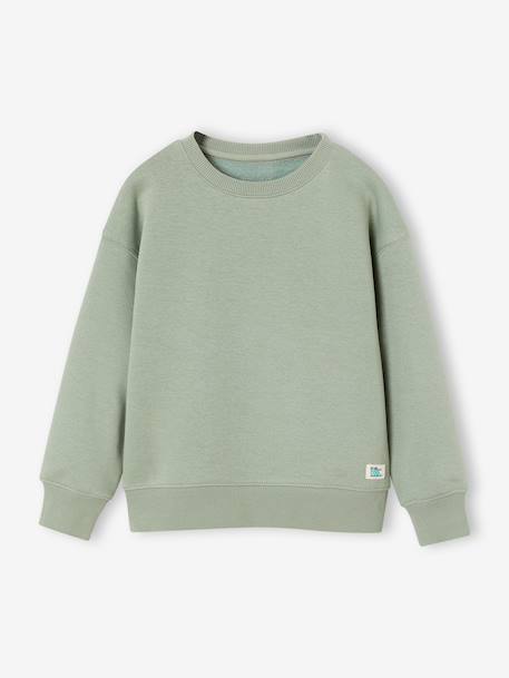 Pack of 2 crew neck sweatshirts for boys sage green 