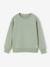 Pack of 2 crew neck sweatshirts for boys sage green 