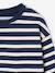 Pack of 2 crew neck sweatshirts for boys sage green 