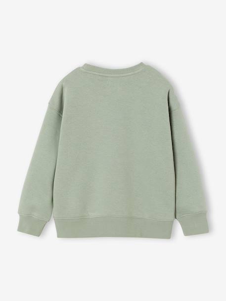 Pack of 2 crew neck sweatshirts for boys sage green 