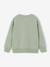 Pack of 2 crew neck sweatshirts for boys sage green 