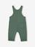 Fleece Dungarees for Babies BLUE DARK SOLID+dark green 