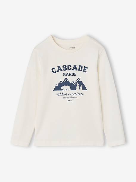 Pack of 3 long-sleeved T-shirts for boys caramel+lilac+rust+sage green 