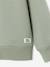 Pack of 2 crew neck sweatshirts for boys sage green 