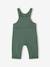 Fleece Dungarees for Babies BLUE DARK SOLID+dark green 
