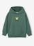 Pikachu hooded sweatshirt for boys green 