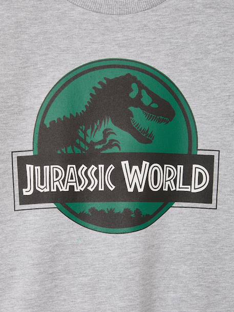 Sweatshirt Jurassic World for boys marl grey 