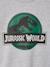 Sweatshirt Jurassic World for boys marl grey 